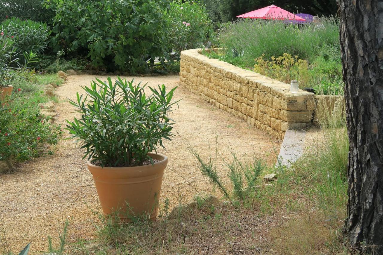 לינה וארוחת בוקר Saint-Maximin  L'Atelier מראה חיצוני תמונה