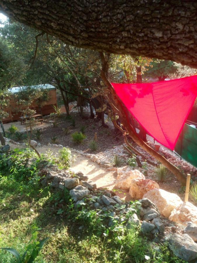 לינה וארוחת בוקר Saint-Maximin  L'Atelier מראה חיצוני תמונה